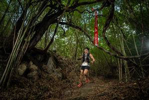 BIB: 
                            <button type="button" onclick="openModal(22177410)" class="btn btn-primary btn-sm float-right btn-popup" data-toggle="modal" data-target=".modal-high-quality">
                        <i class="fas fa-shopping-cart"></i> Add to Cart
                    </button>
                                            <button type="button" onclick="isThisMe(22177410, true)" class="btn btn-success btn-sm float-right btn-popup btn-isme hidden" data-toggle="tooltip" data-placement="bottom" title="นี่คือรูปของคุณใช่ไหม คลิกที่นี่เพื่อเอาเข้าอัลบั้ม">
                        <i class="fas fa-plus"></i> Add to album
                    </button>
                    <button type="button" onclick="isThisMe(22177410, false)" class="btn btn-warning btn-sm float-right btn-popup btn-isnotme hidden">
                        <i class="fas fa-ban"></i> Remove from album
                    </button>